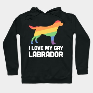 Labrador - Funny Gay Dog LGBT Pride Hoodie